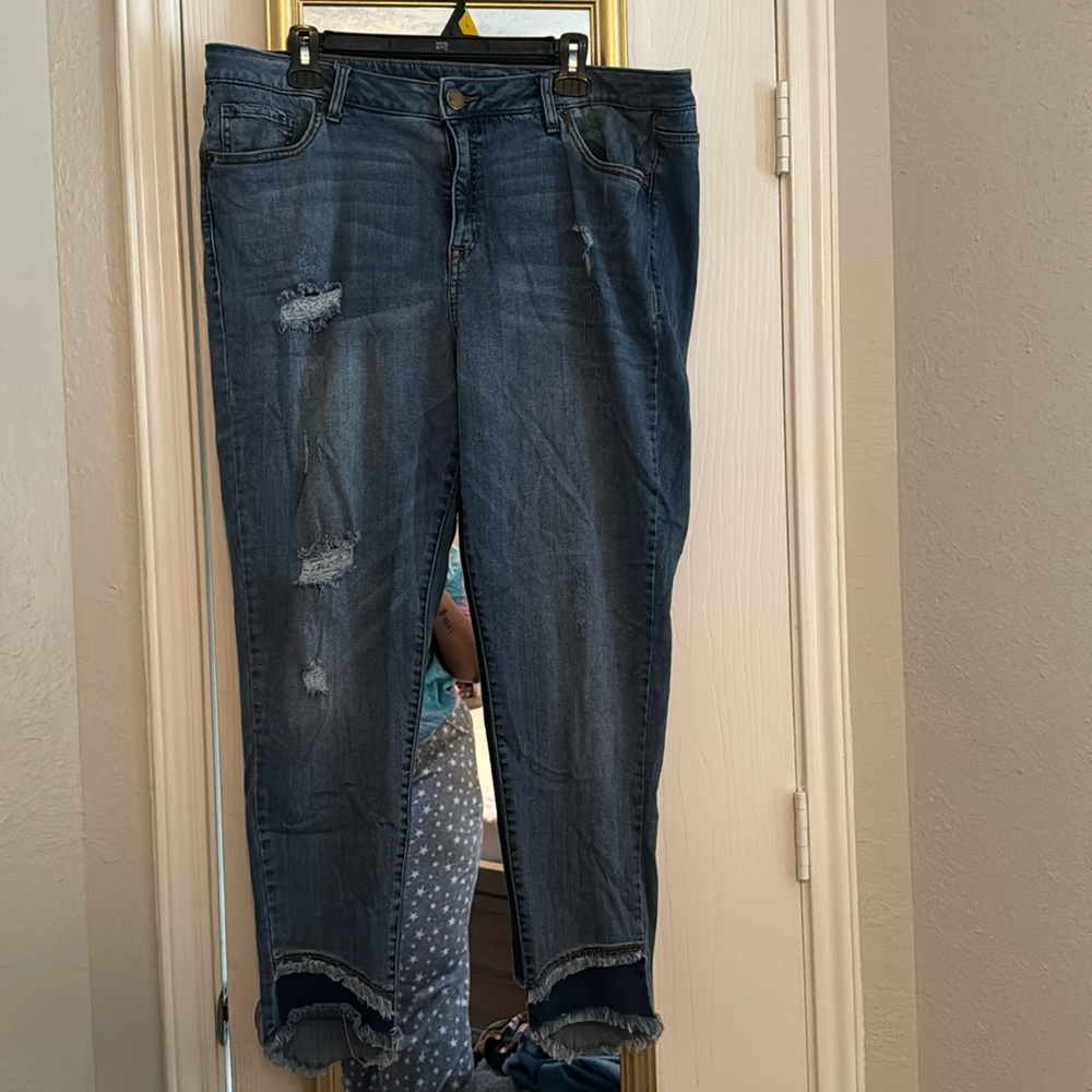 Lane Bryant Ankle Skinny Jeans